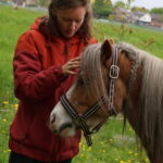 brenda geeft cranio sacraal op het hoofd