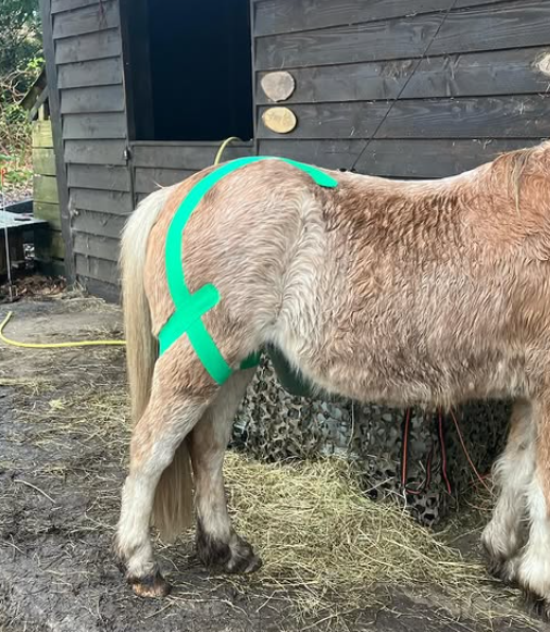 Ondersteuning knie tape