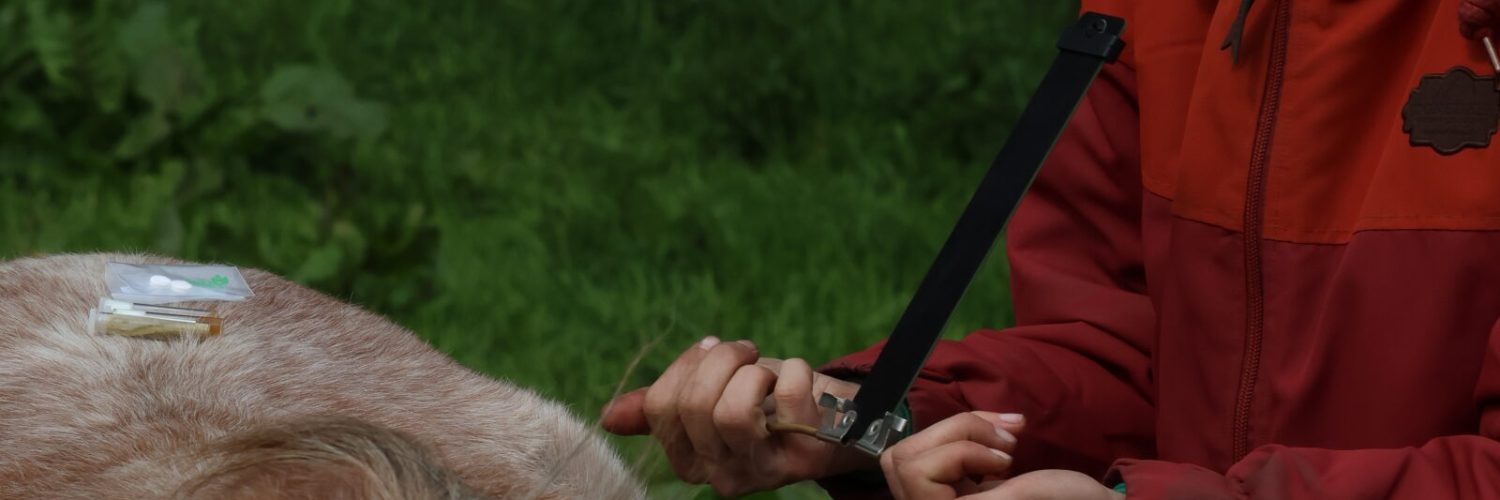 Brenda meet supplementen op een pony met de lecher-antenne